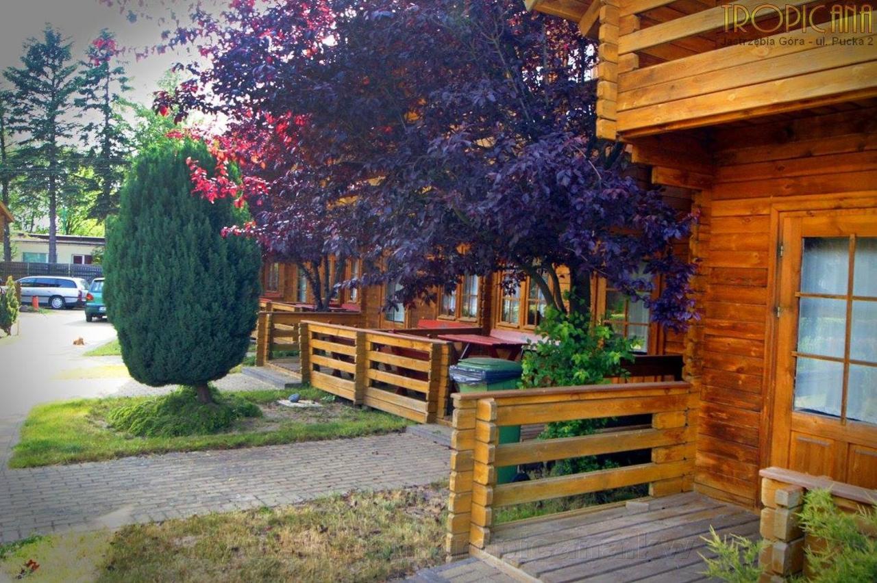 Tropicana Jastrzębia Góra Exterior foto