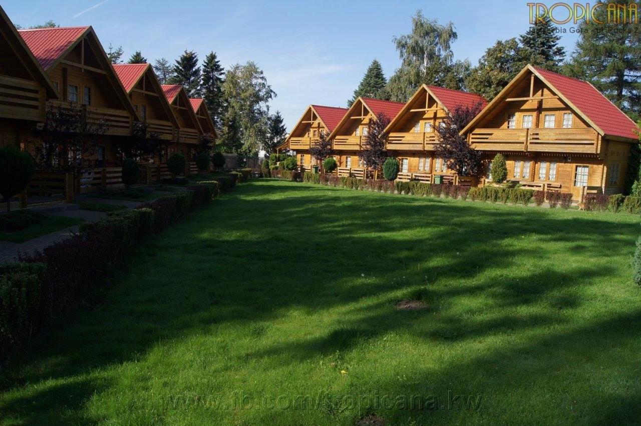 Tropicana Jastrzębia Góra Exterior foto